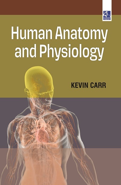 Human Anatomy and Physiology